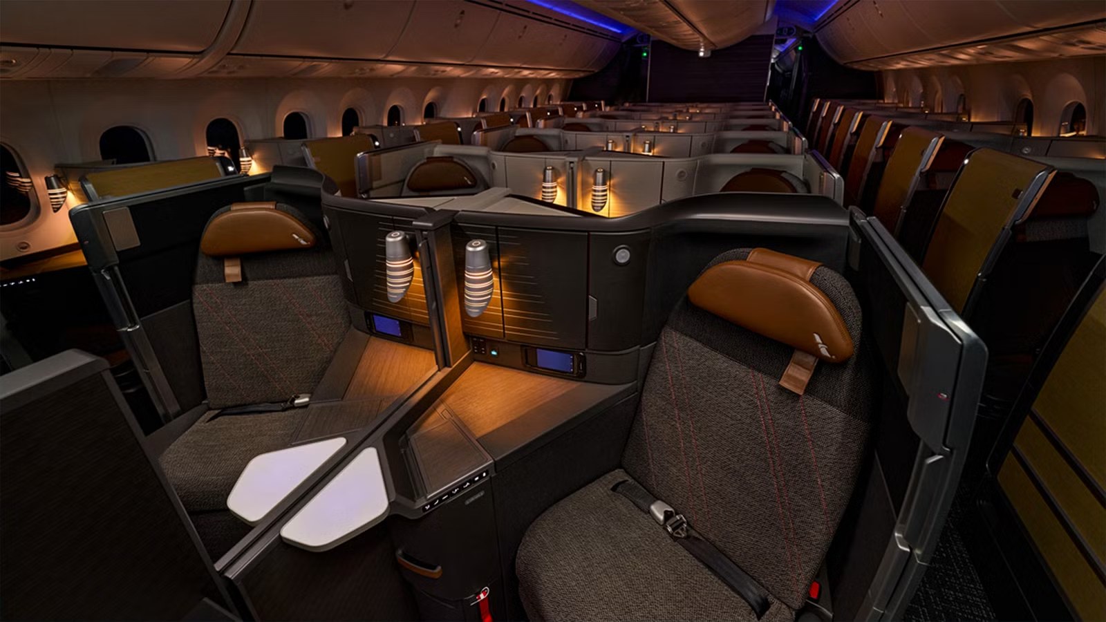 American Airlines Flagship Suites with doors on the Boeing 787-9P, 1-2-1 suites with brown leather headrests
