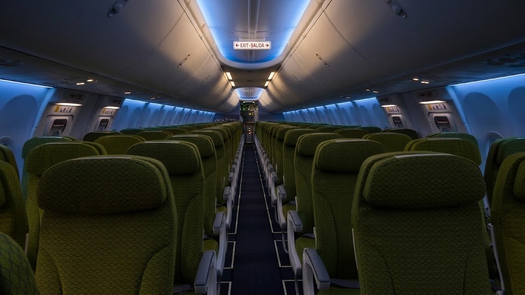 Ethiopian Airlines Boeing 737 MAX 8 economy cabin