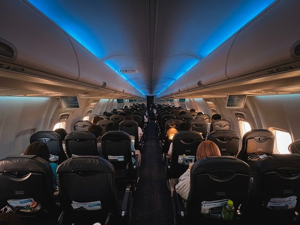 Japan Airlines Boeing 737-800 domestic cabin